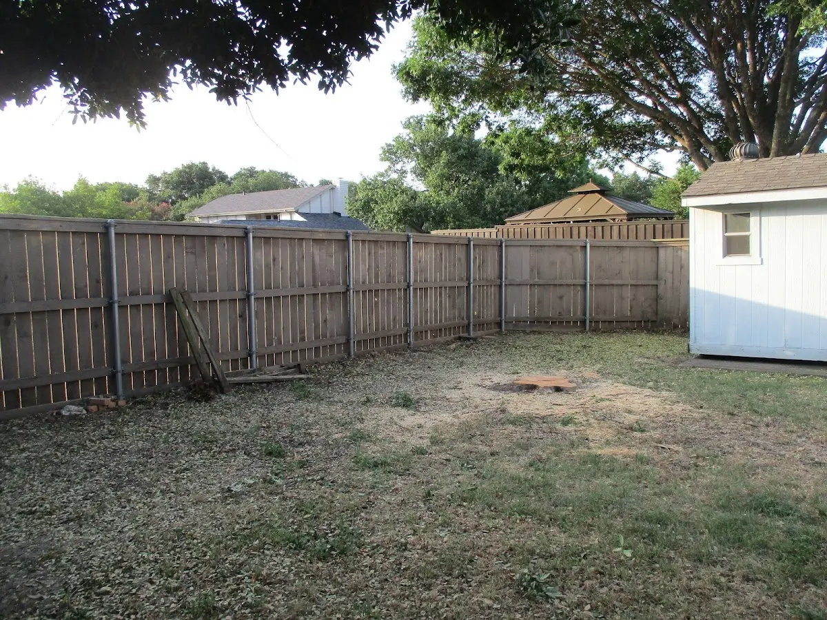 Cleared yard after professional tree removal in Canyon Country
