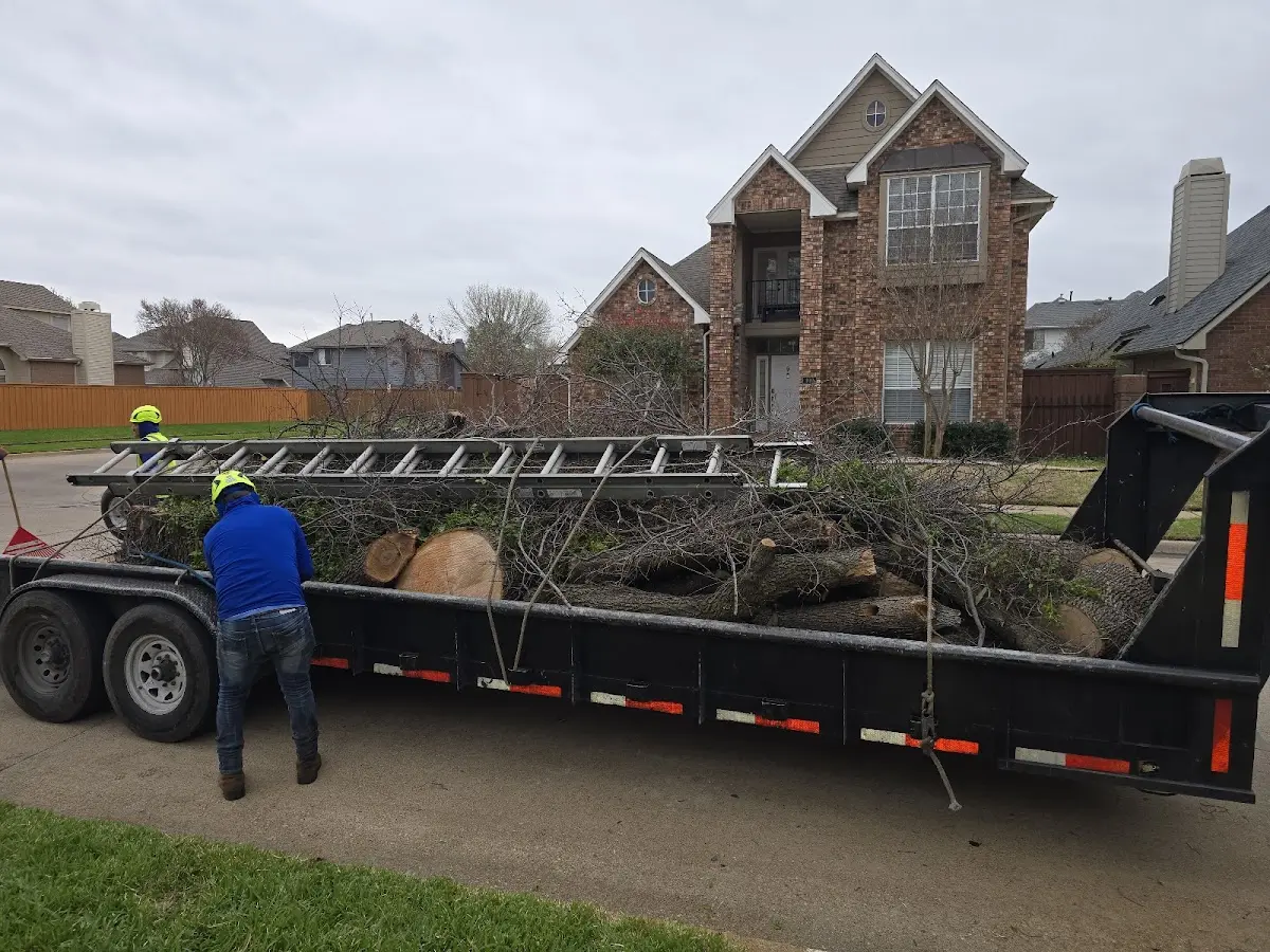 Expert Tree Fertilization with proper safety equipment in Canyon Country